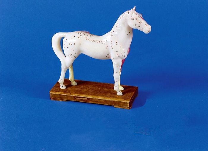 Akupunktur-Pferd, Bestellnummer 2058