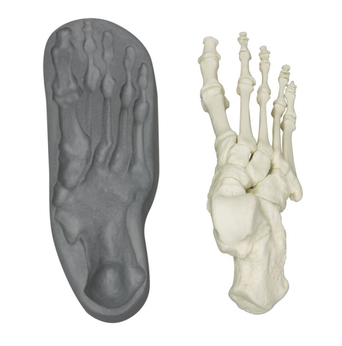 Magnetischer menschlicher Fuß, rechts, Bestellnummer 6009