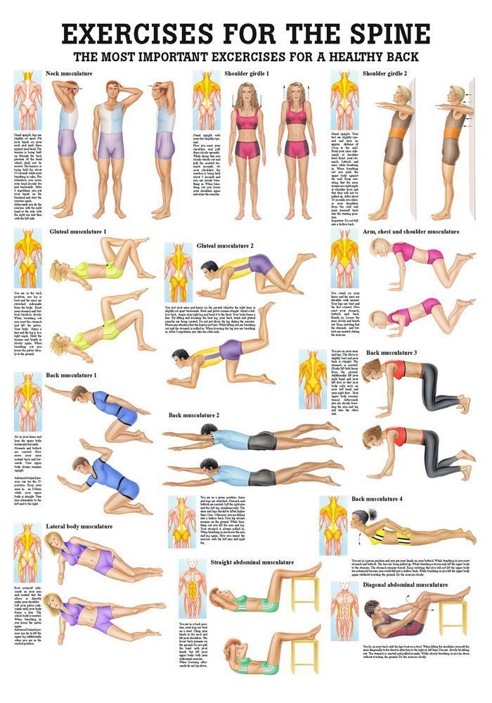 Exercises for the spine, englisch, 50x70 cm, Papier, Bestellnummer PO42e