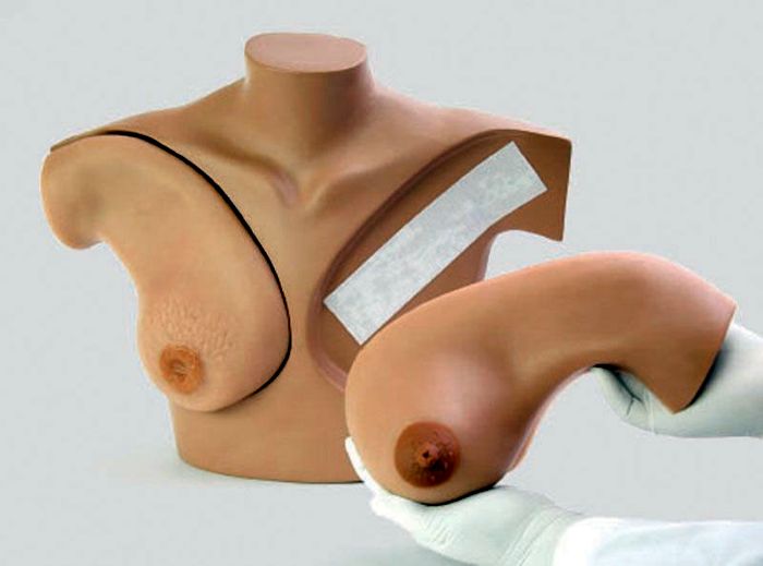Brust Tastuntersuchungssimulator für klinische Ausbildung, Bestellnummer L60