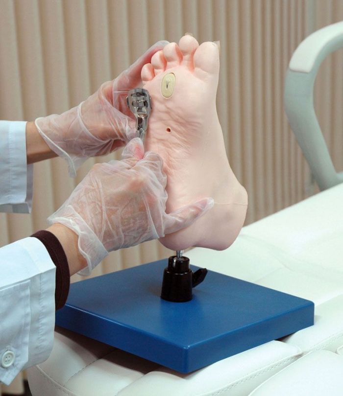 Übungsmodell medizinische Fußpflege, Bestellnummer R16080