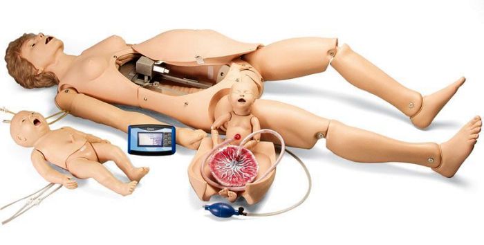 Noelle Geburtssimulator mit Wiederbelebungs-Baby, Bestellnummer R17810