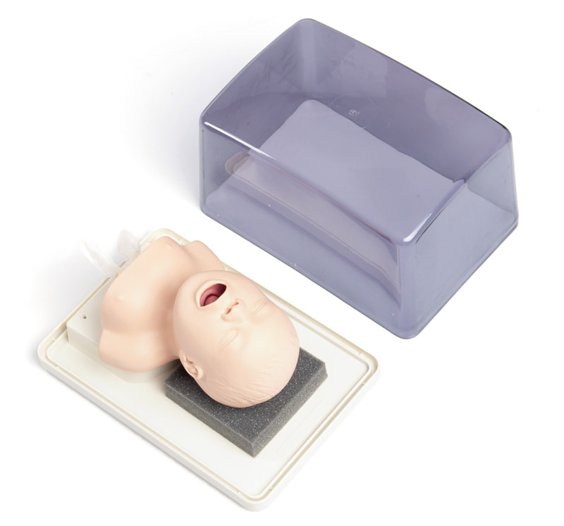 Säuglings Intubationstrainer, Bestellnummer R20012