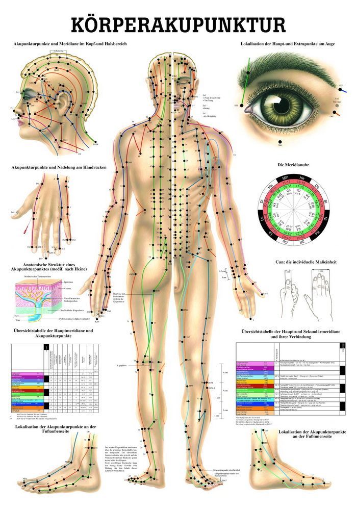 Körperakupunktur, 70x100 cm, laminiert, Bestellnummer TA10/L