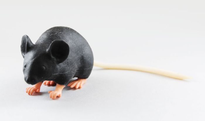Mimicky Mouse, Bestellnummer VET4220