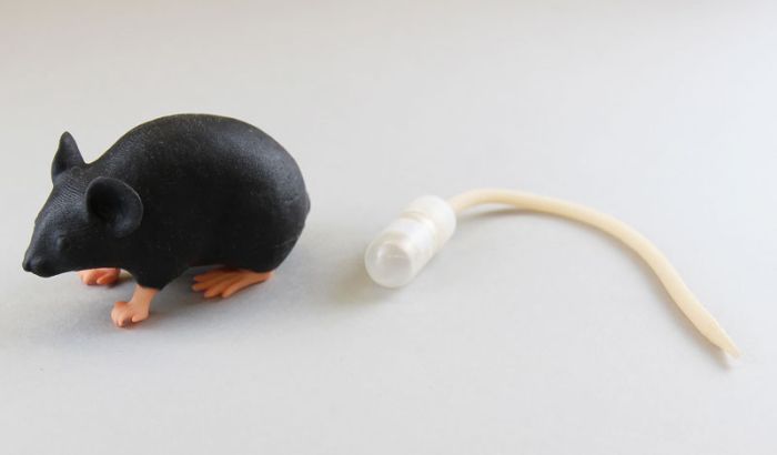Mimicky Mouse, Bestellnummer VET4220
