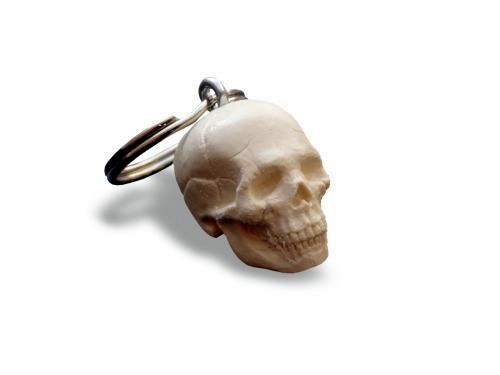 Schlüsselanhänger Mini-Schädel, Bestellnummer AN02, Rüdiger-Anatomie