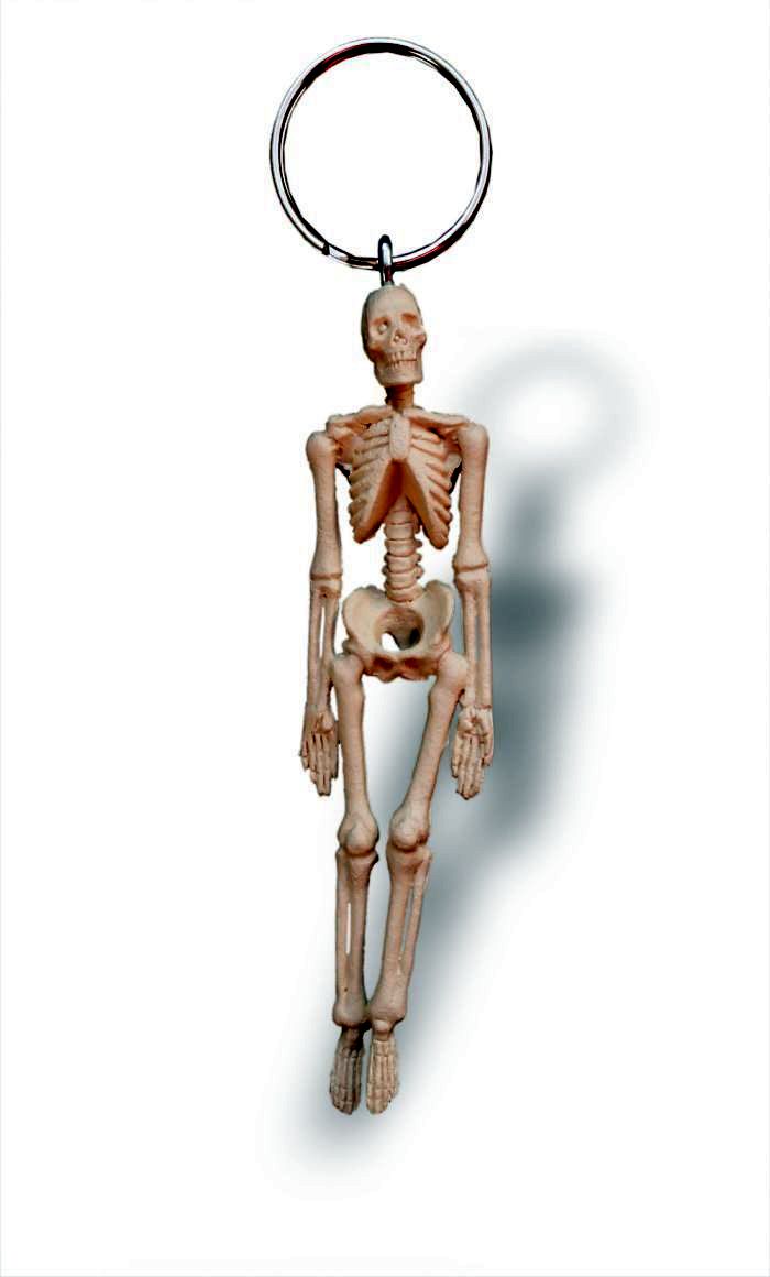 Schlüsselanhänger Skelett, Bestellnummer AN13, Rüdiger-Anatomie