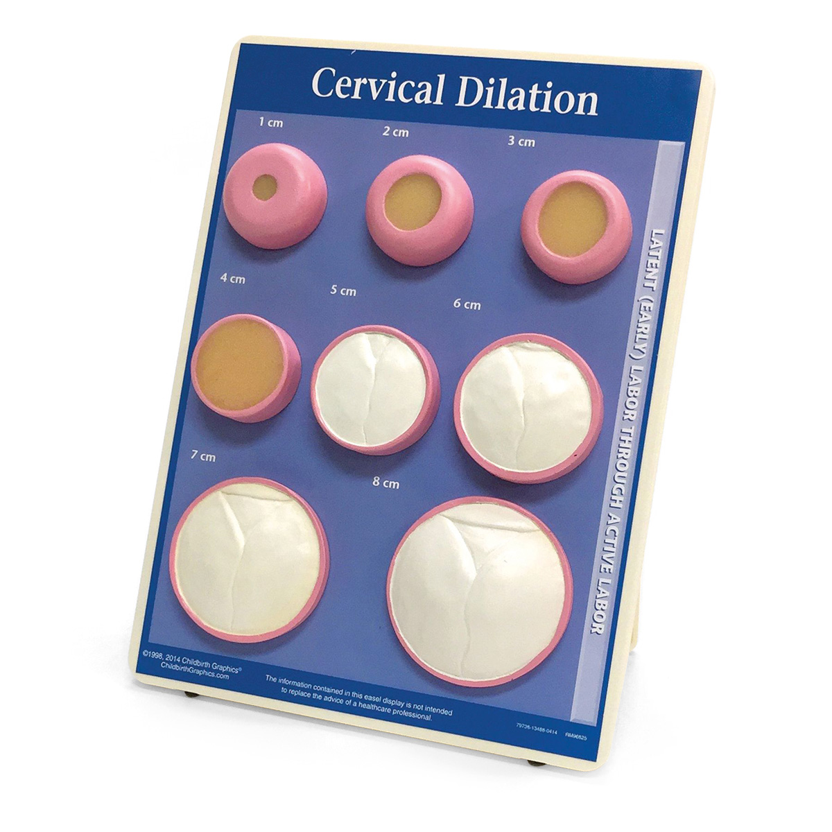 Cervical Dilation Easel Display, Bestellnummer 1012488, W43093, 79738, WRS Group
