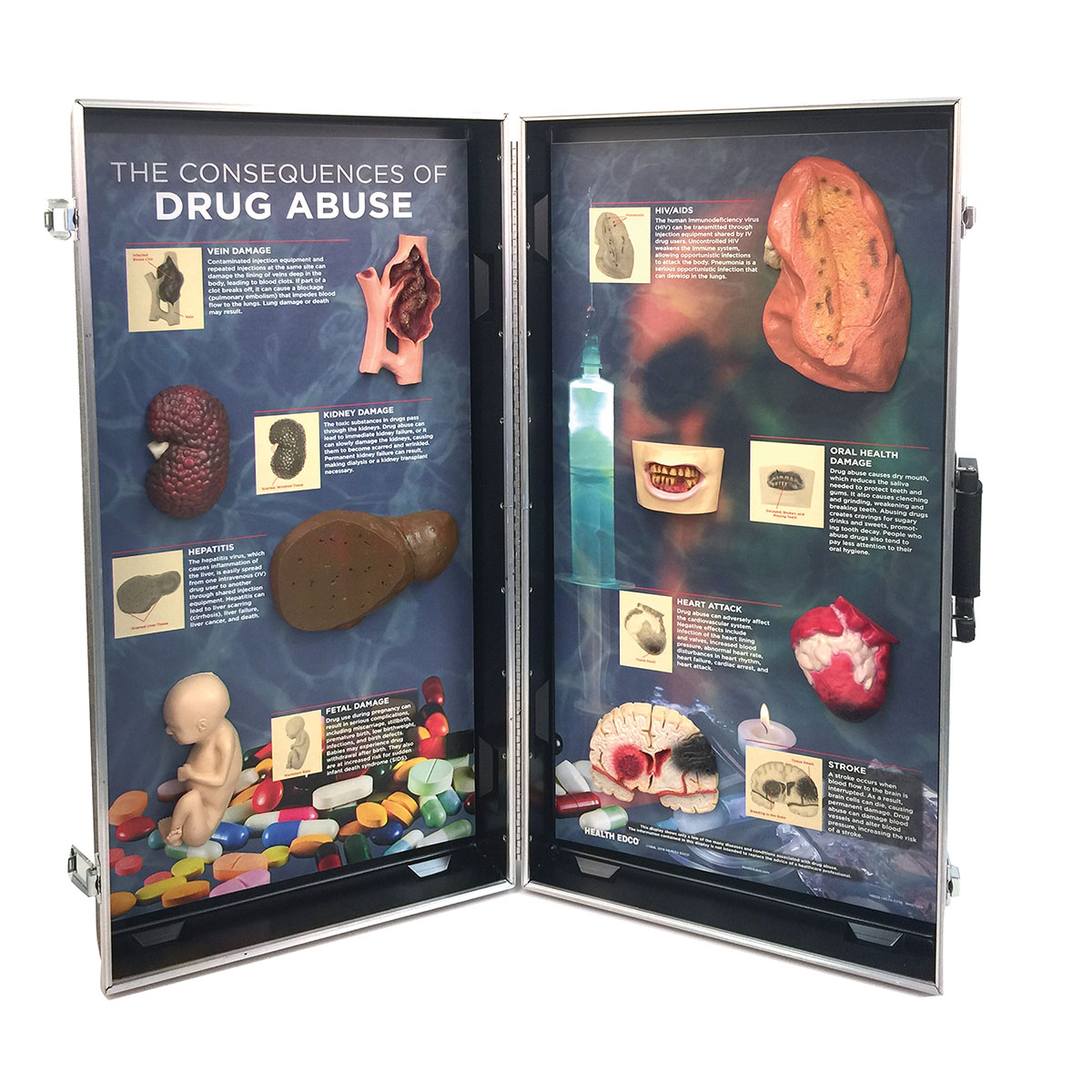 Die Folgen des Drogenmissbrauchs, 3D Schautafel, Bestellnummer 1005583, W43054, 79623, WRS Group