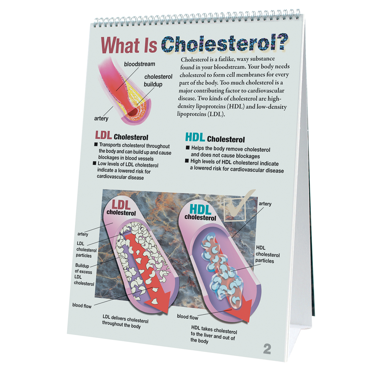 Cholesterol Flip Chart, Bestellnummer 1018306, W43208, 43117, WRS Group