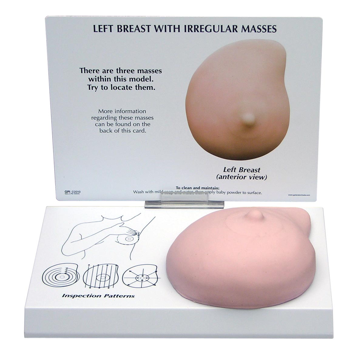 Modell einer linken Brust mit unregelmäßigen Massen, Bestellnummer 1019558, W33385, 3401, GPI Anatomicals