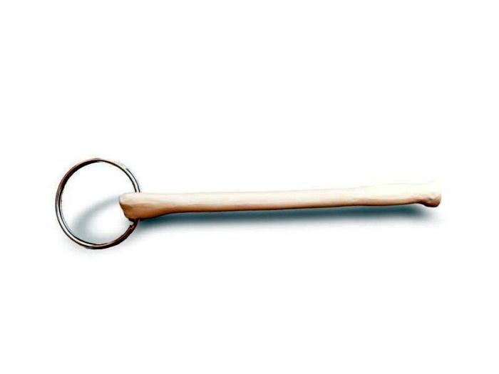 Schlüsselanhänger Mini-Radius (Speiche), Bestellnummer AN34, Rüdiger-Anatomie