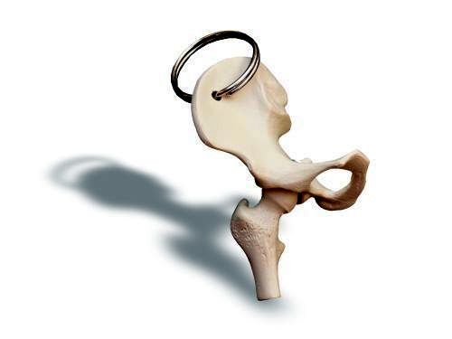 Schlüsselanhänger Beckenschaufel mit Stumpf, Bestellnummer AN01, Rüdiger-Anatomie