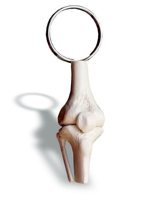 Schlüsselanhänger Kniegelenk, Bestellnummer AN04, Rüdiger-Anatomie
