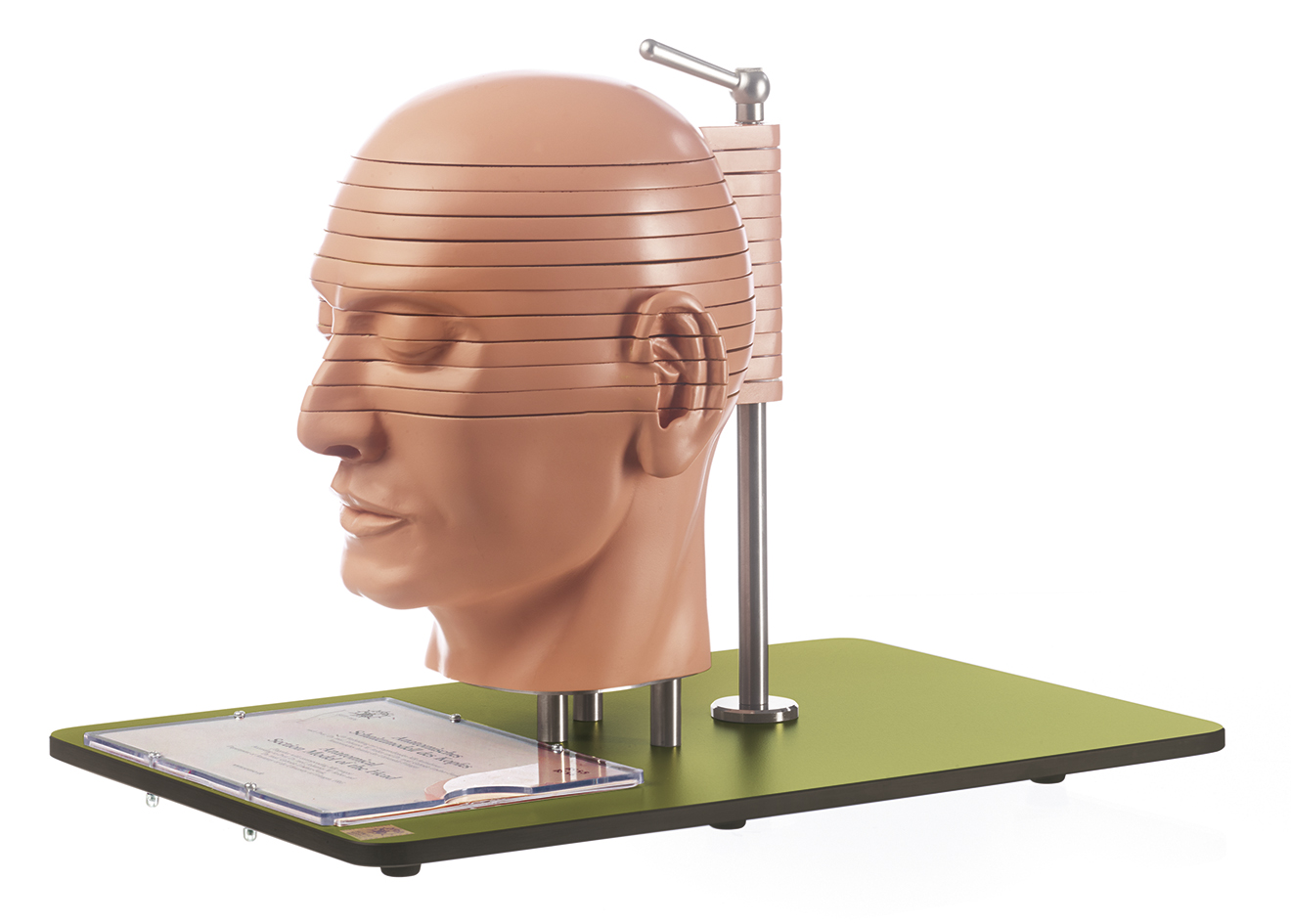 Anatomisches Schnittmodell des Kopfes (in Verbindung mit entsprechenden CT- und MR-Aufnahmen), Bestellnummer BS 5/5, SOMSO-Modelle