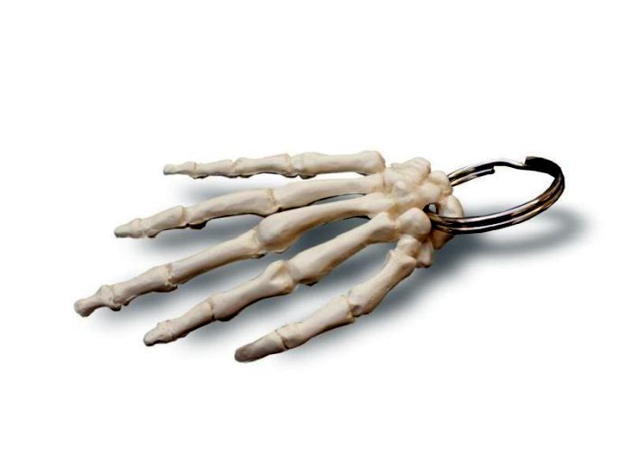Schlüsselanhänger Mini-Hand, Bestellnummer AN10, Rüdiger-Anatomie