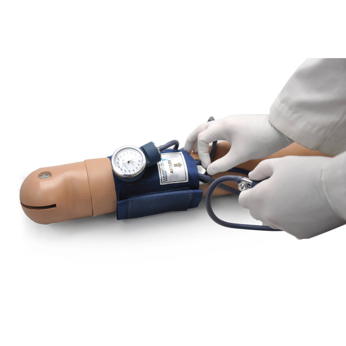 Blutdruck-Trainingssystem mit Omni, Bestellnummer 1018870, R11200, W45158-1, S415.M, Gaumard