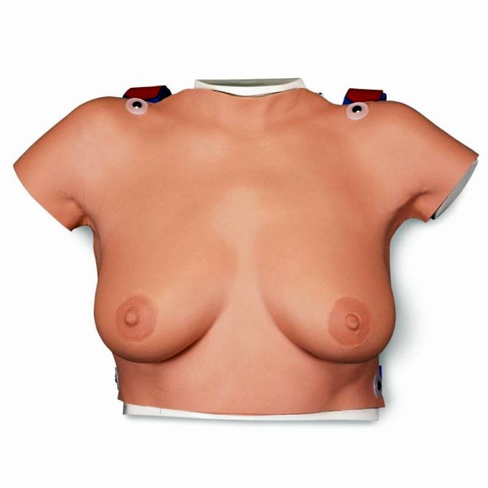 Brust-Tastmodell zum Umhängen, Bestellnummer 1000343, L51, 3B Scientific