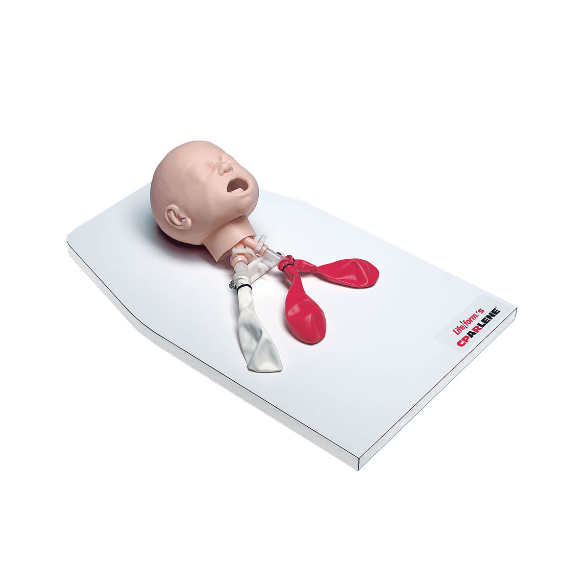 Beatmungstrainer Baby auf Sockel, Bestellnummer 1017954, W44667, LF03623U, Nasco Life/form