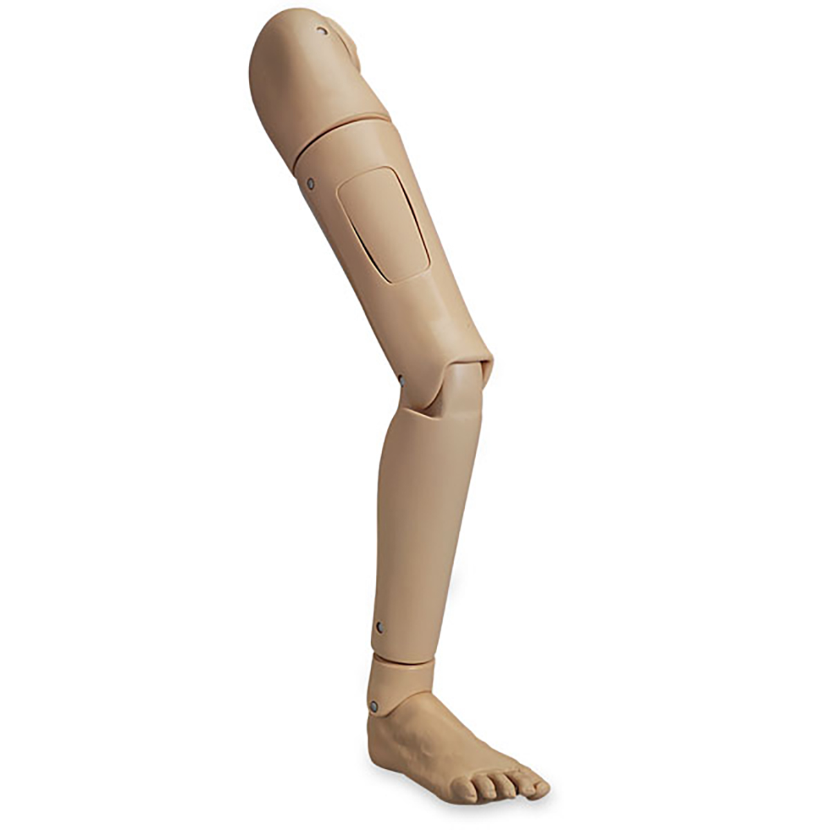 Vollständiges rechtes Bein für KERi/GERi, Bestellnummer 1019746, LF04093N, Nasco Life/form