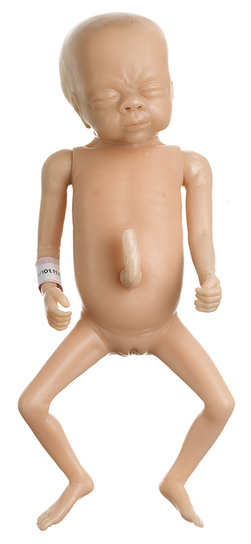 Frühgeborenenbaby, weiblich, Bestellnummer MS 61, SOMSO-Modelle