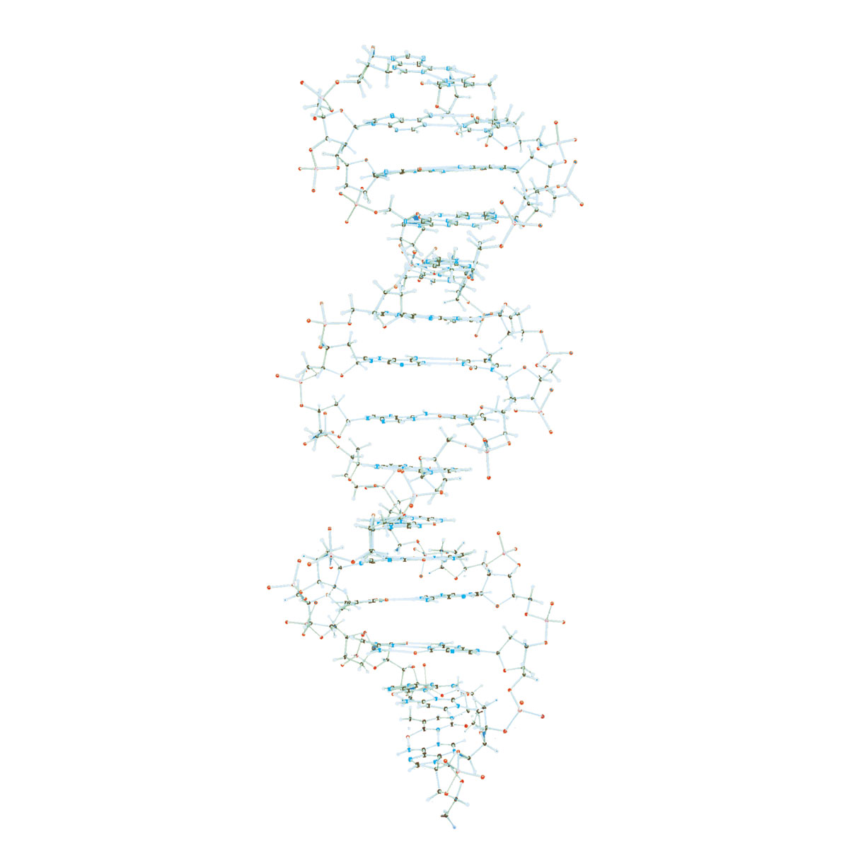 DNA-Demonstrationsmodell, Orbit™-Bausatz, Bestellnummer 1005301, W19800, W19800, Cochranes